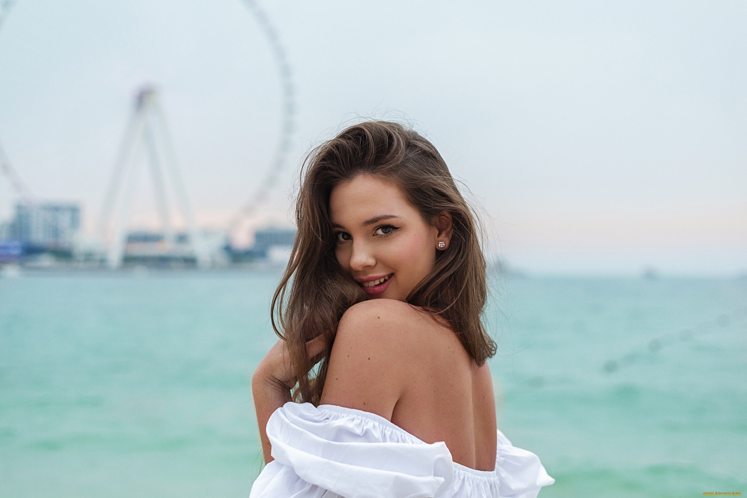 , - ,  , 